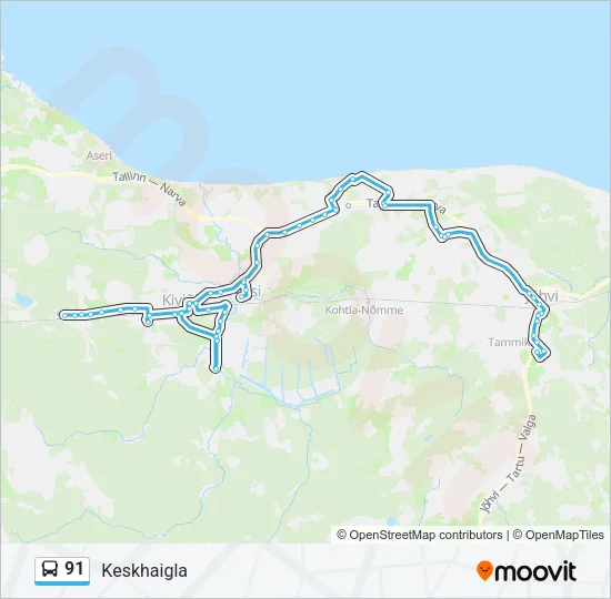 Автобус 91: карта маршрута