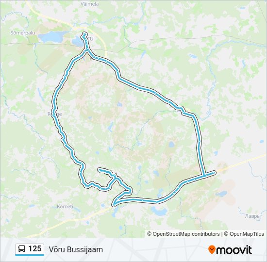 125 Route: Schedules, Stops & Maps - Võru Bussijaam (Updated)