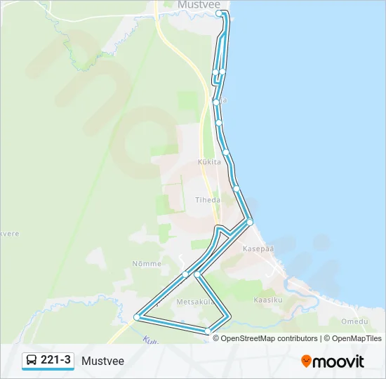 Автобус 221-3: карта маршрута