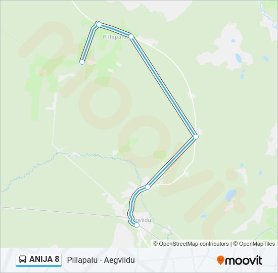 Автобус ANIJA 8: карта маршрута