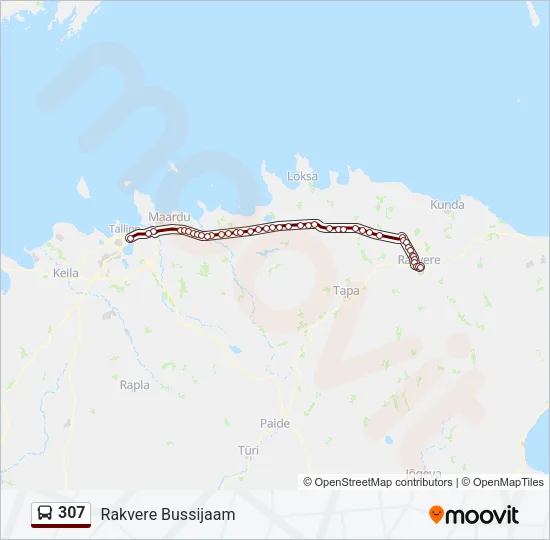 307 Bus Line Map