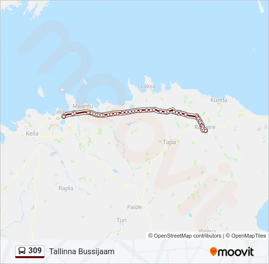 309 Bus Line Map