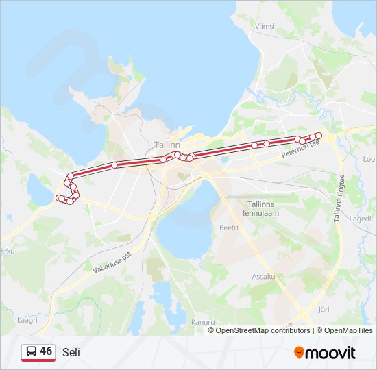 46 Route: Schedules, Stops & Maps - Seli (Updated)