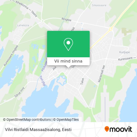 Vilvi Ristlaidi Massaažisalong kaart