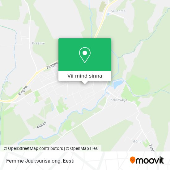 Femme Juuksurisalong kaart