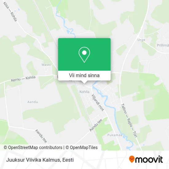 Juuksur Viivika Kalmus kaart