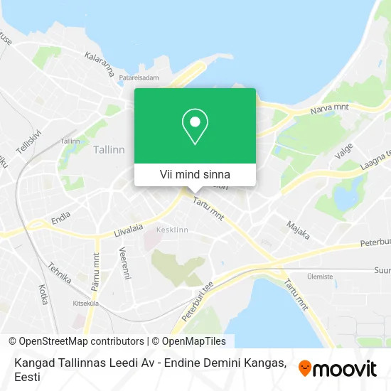 Kangad Tallinnas Leedi Av - Endine Demini Kangas kaart