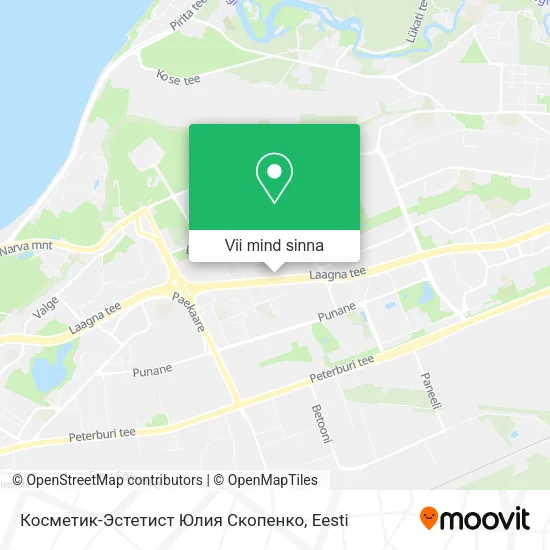 Косметик-Эстетист Юлия Скопенко kaart