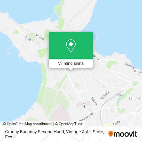 Granny Bunanny Second Hand, Vintage & Art Store kaart