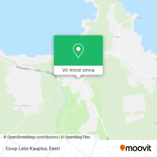 Coop Leisi Kauplus kaart