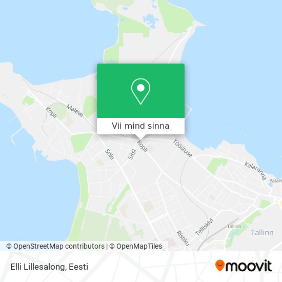Elli Lillesalong kaart