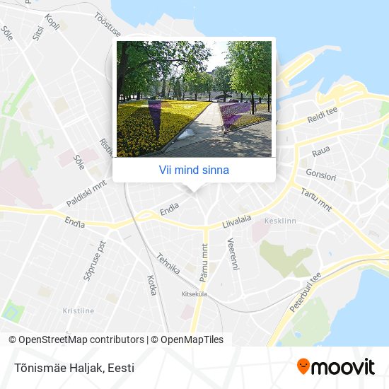 Tõnismäe Haljak kaart