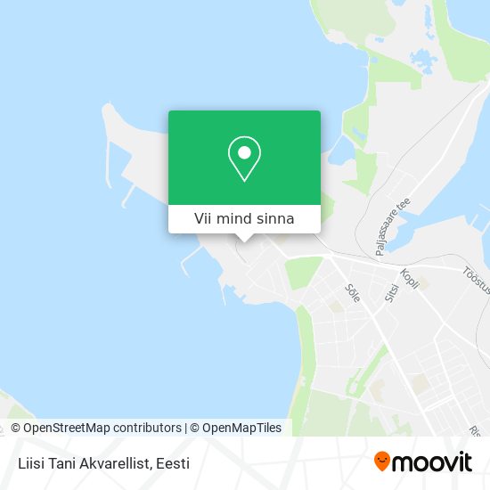Liisi Tani Akvarellist kaart