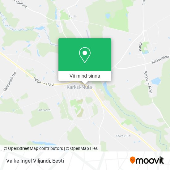 Vaike Ingel Viljandi kaart