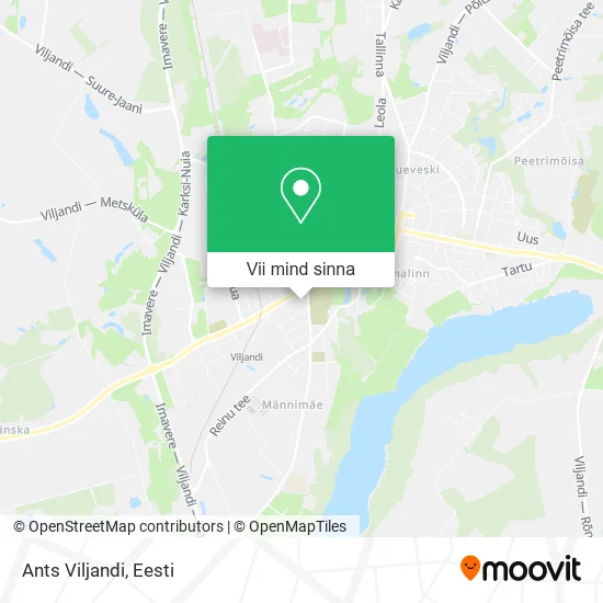Ants Viljandi kaart