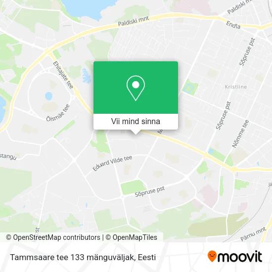 Tammsaare tee 133 mänguväljak kaart