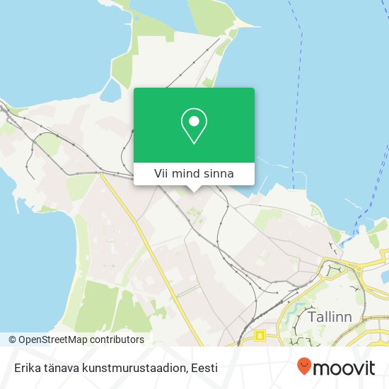 Erika tänava kunstmurustaadion kaart