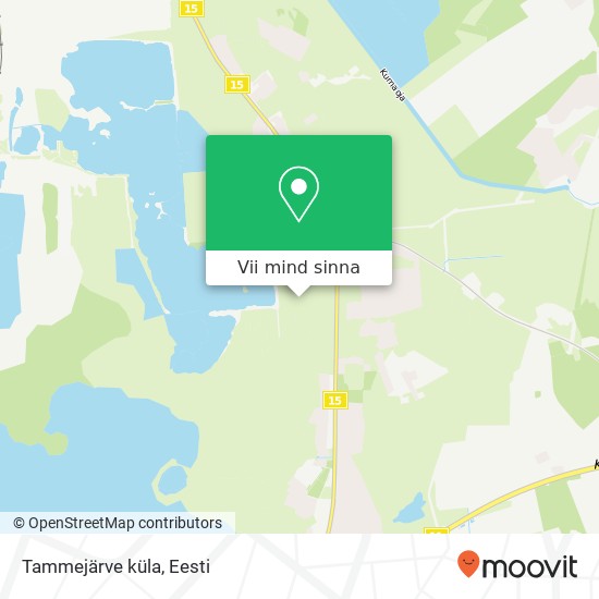 Tammejärve küla kaart