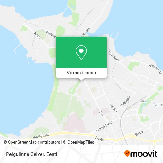 Pelgulinna Selver kaart