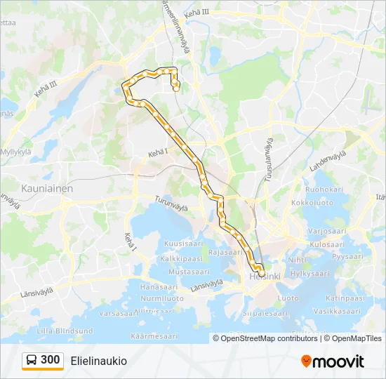 300 Bus Line Map