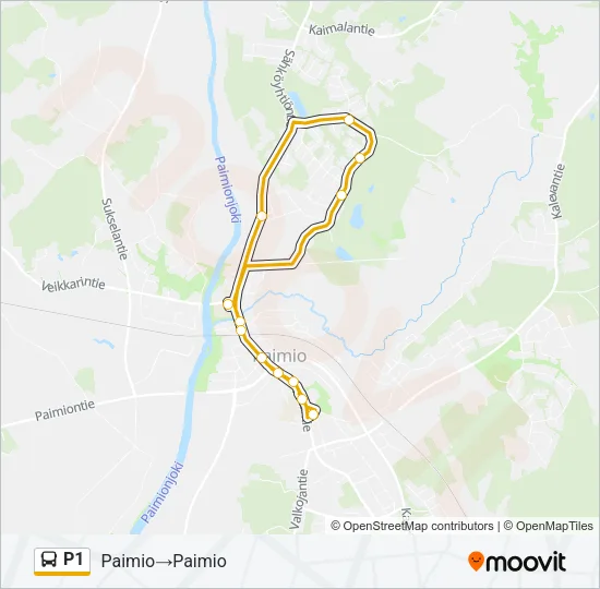 P1 Bus Line Map