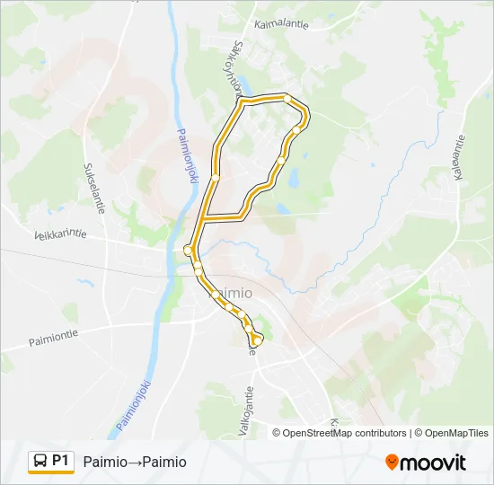 P1 Bus Line Map