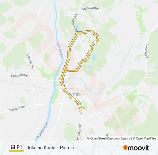 P1 Bus Line Map