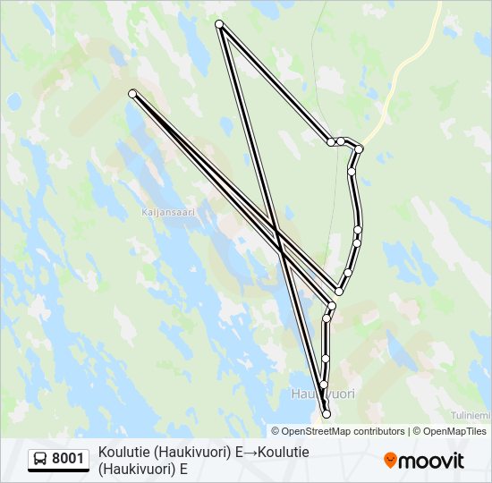 8001 Bus Line Map