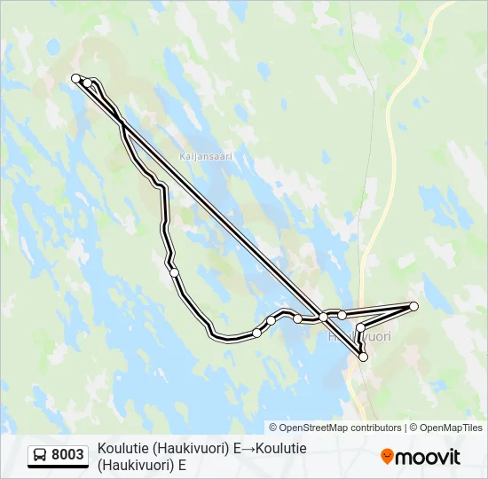 8003 Bus Line Map