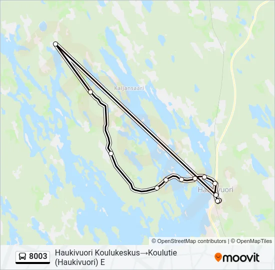 8003 Bus Line Map