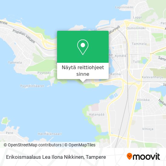 Erikoismaalaus Lea Ilona Nikkinen kartta