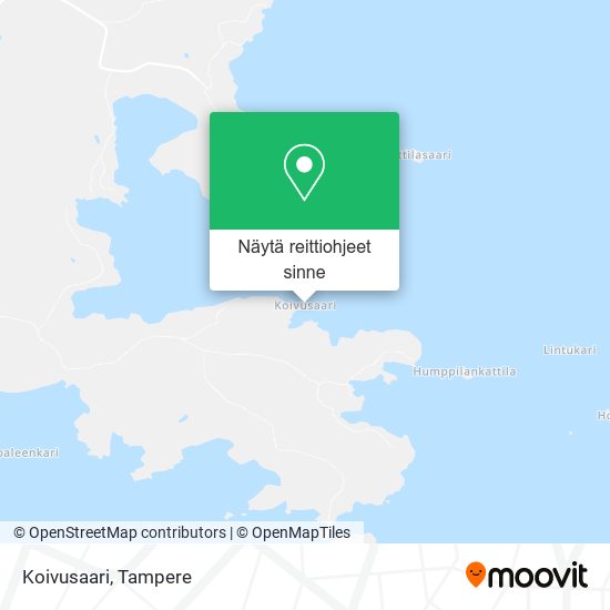 Koivusaari kartta