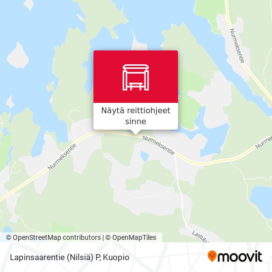 Lapinsaarentie (Nilsiä) P kartta