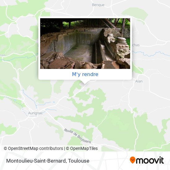 Montoulieu-Saint-Bernard plan