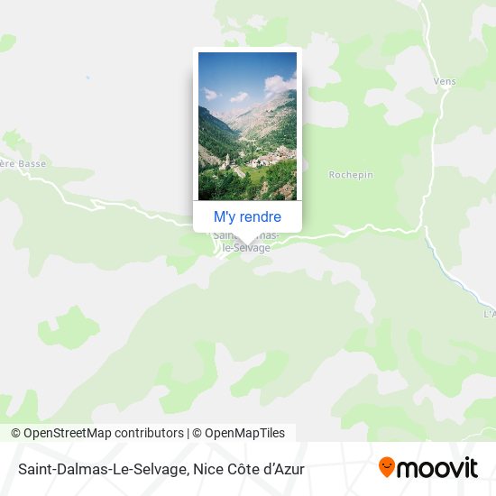 Saint-Dalmas-Le-Selvage plan