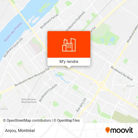 Anjou plan