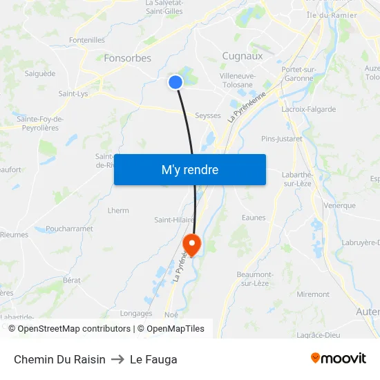 Chemin Du Raisin to Le Fauga map
