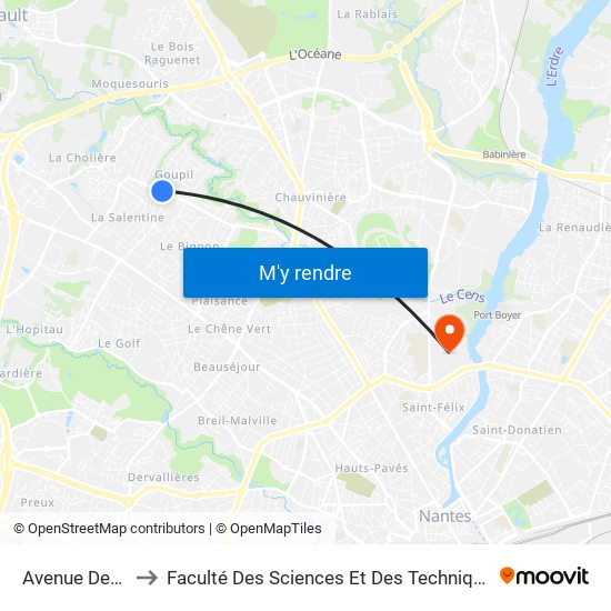 Avenue Des Pins to Faculté Des Sciences Et Des Techniques De Nantes map