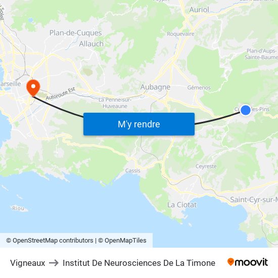 Vigneaux to Institut De Neurosciences De La Timone map