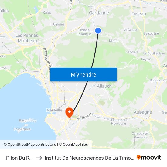 Pilon Du Roy to Institut De Neurosciences De La Timone map