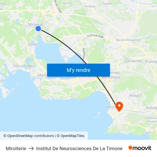 Miroiterie to Institut De Neurosciences De La Timone map