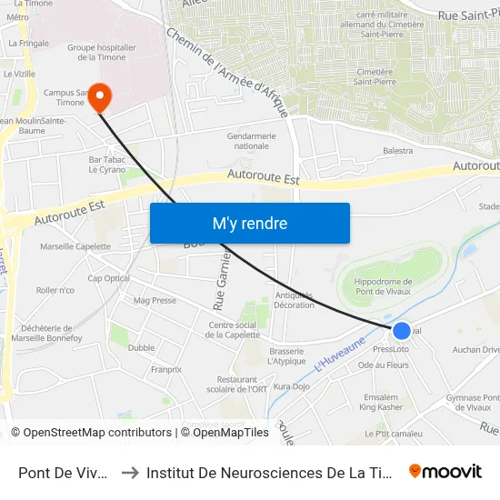 Pont De Vivaux to Institut De Neurosciences De La Timone map