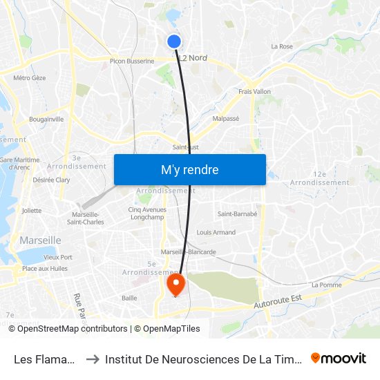 Les Flamants to Institut De Neurosciences De La Timone map