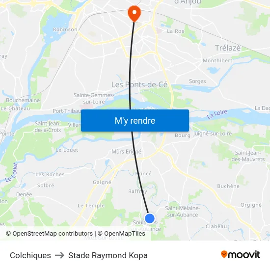 Colchiques to Stade Raymond Kopa map