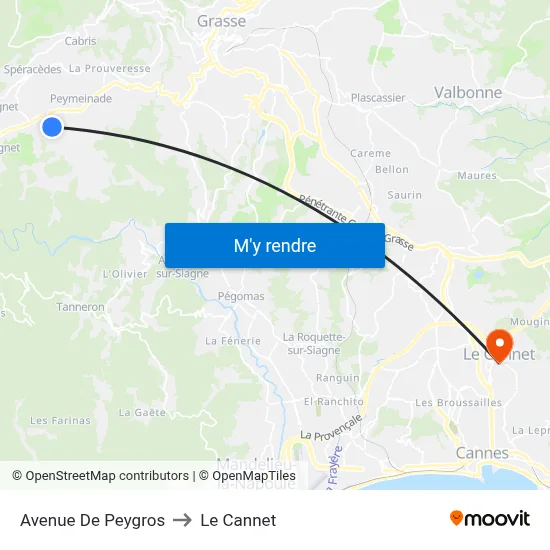 Avenue De Peygros to Le Cannet map