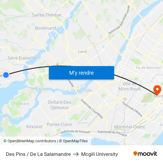 Des Pins / De La Salamandre to Mcgill University map