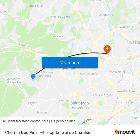 Chemin Des Pins to Hopital Gui de Chauliac map