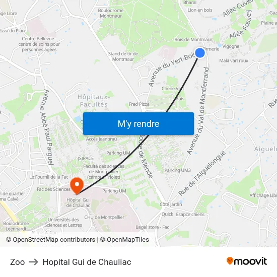 Zoo to Hopital Gui de Chauliac map
