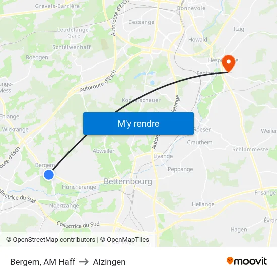 Bergem, AM Haff to Alzingen map