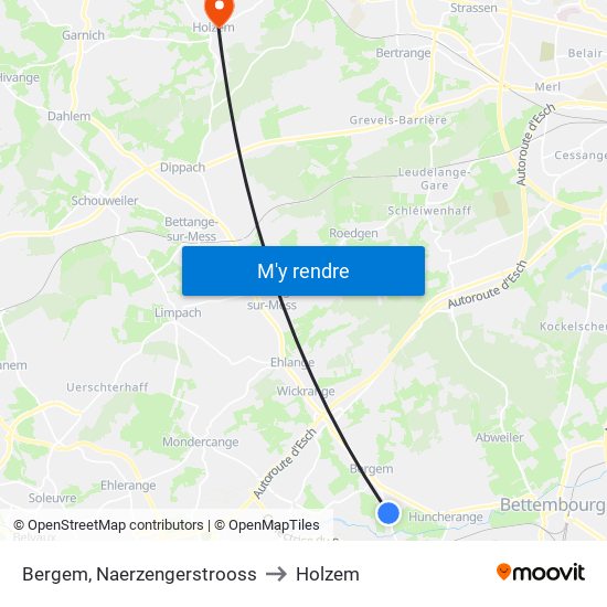 Bergem, Naerzengerstrooss to Holzem map